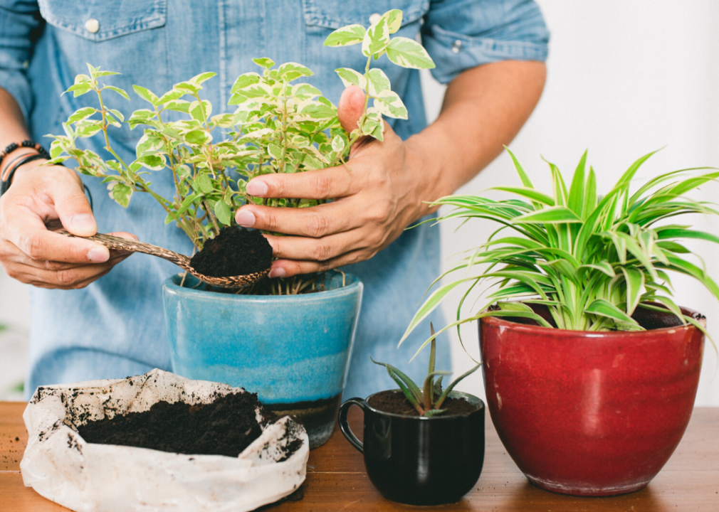 Ease up on fertilizer